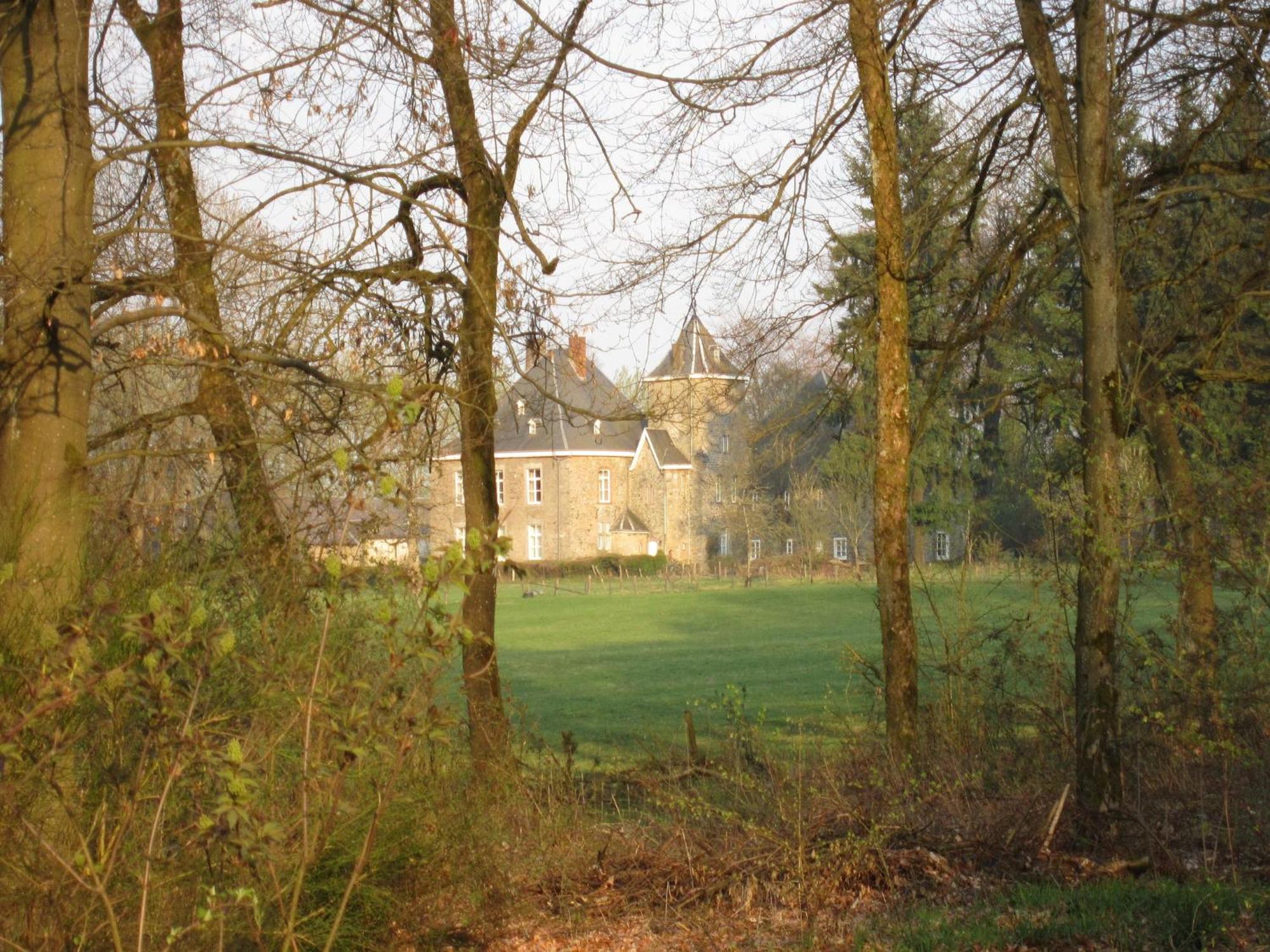 Delightful Castle In Bastogne With Bubble Bath Villa Buitenkant foto